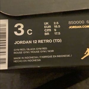 3c Jordan 12